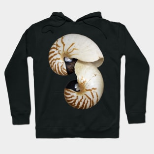 Nautilus Shell - photography by Avril Thomas - Adelaide / South Australia Artist Hoodie